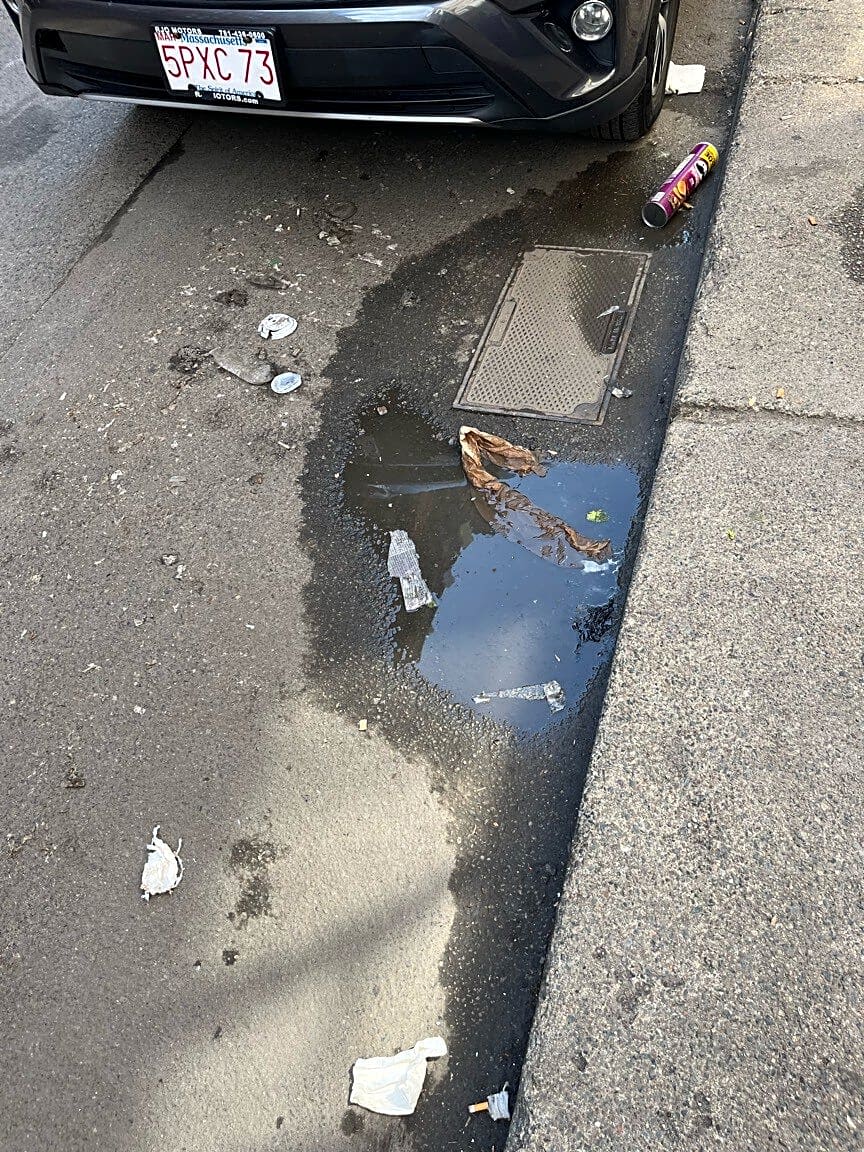 Image submitted with report