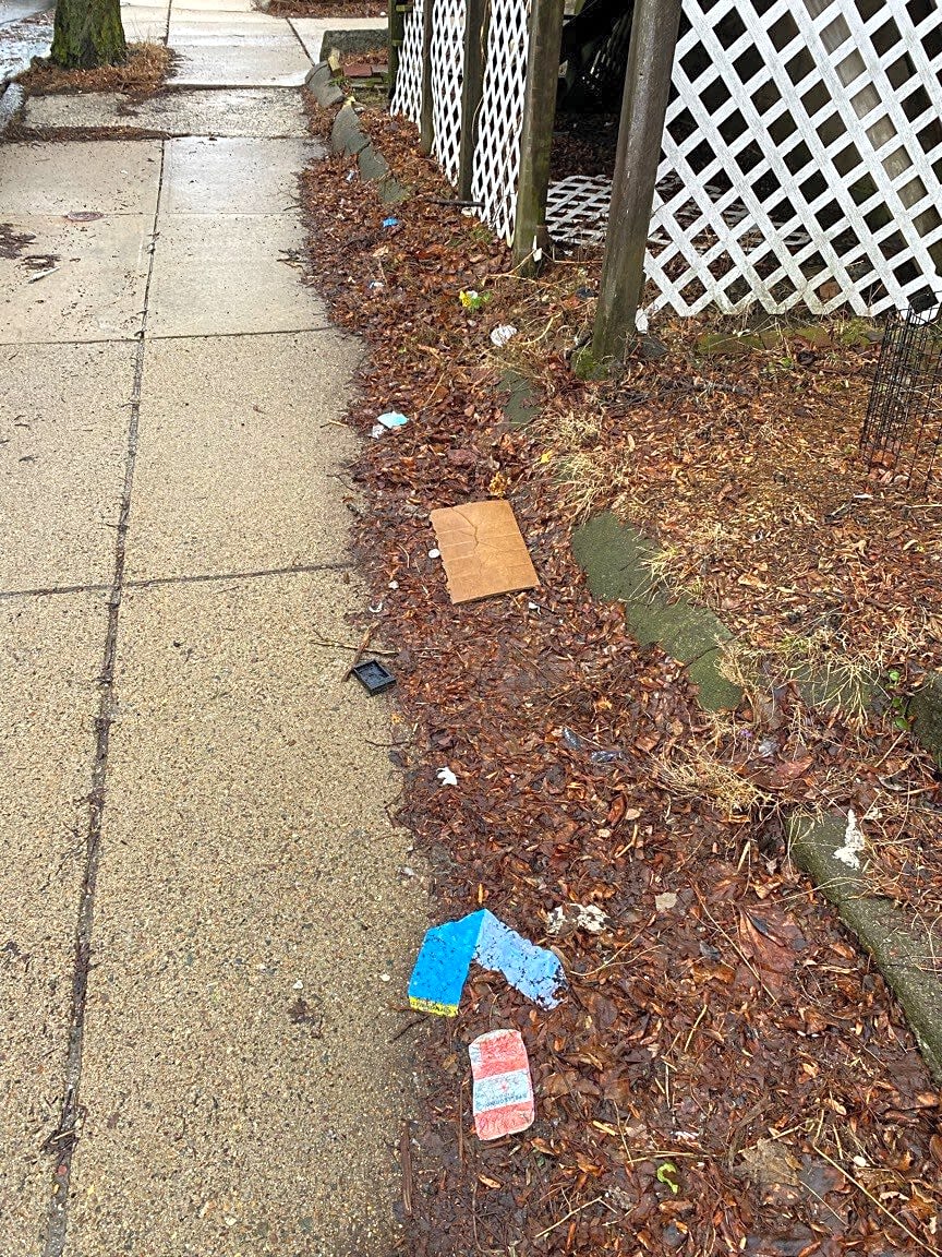 Image submitted with report