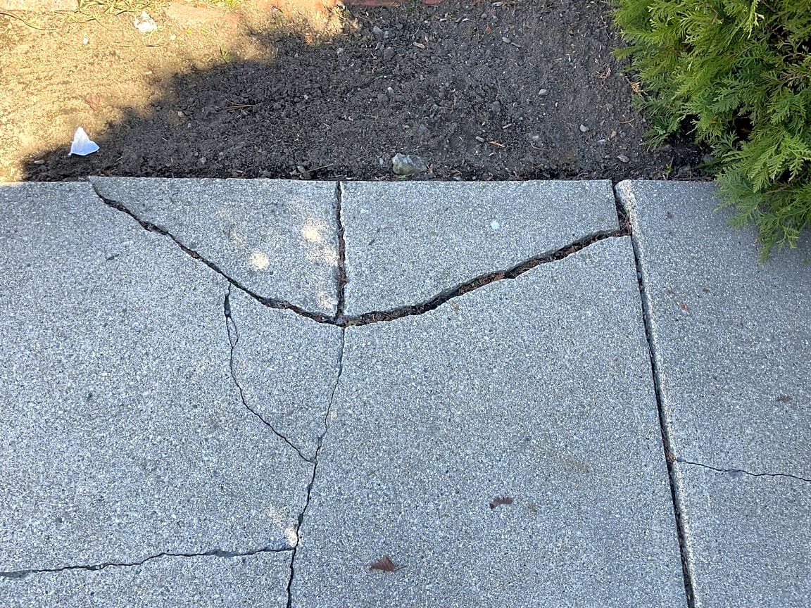 Image submitted with report
