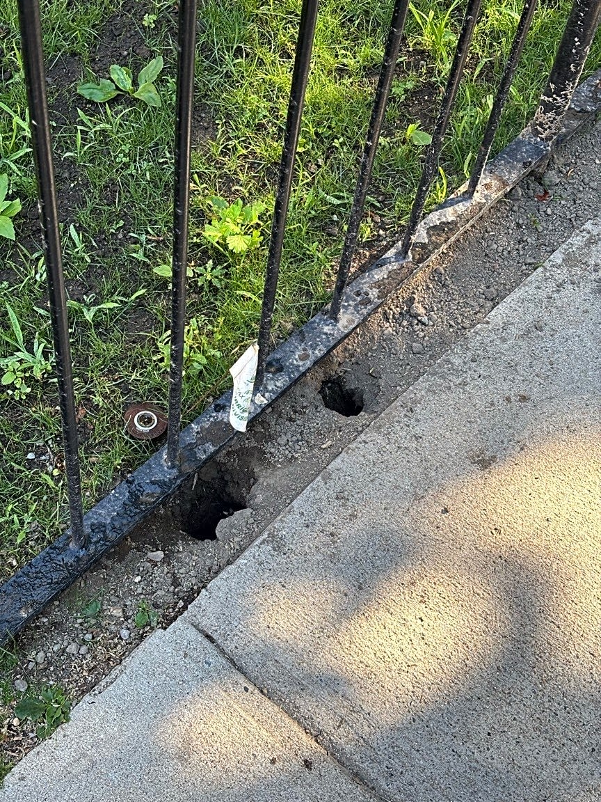Image submitted with report