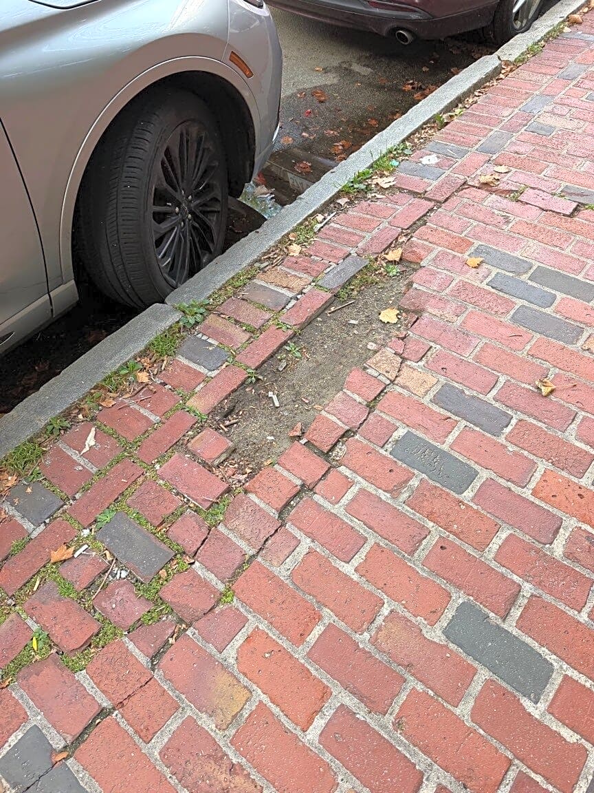 Image submitted with report