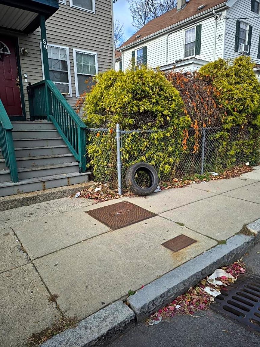 Image submitted with report