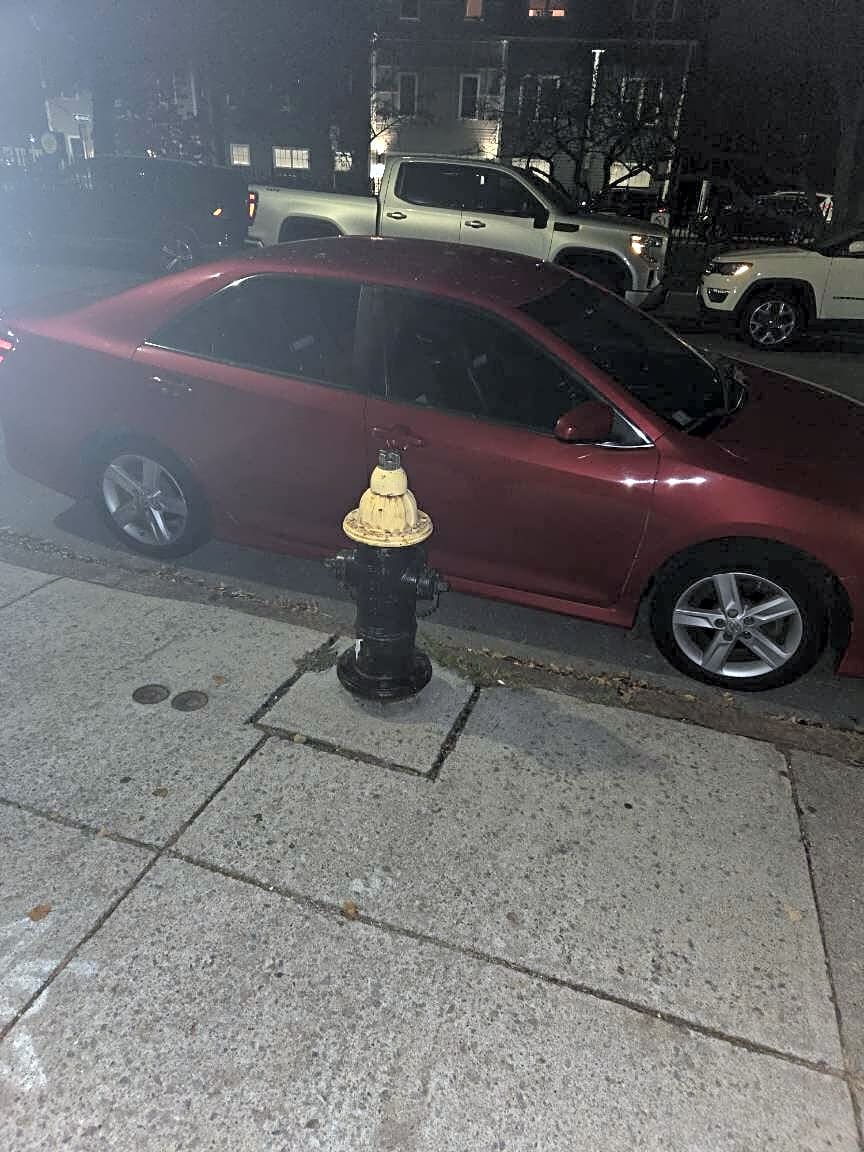 Image submitted with report