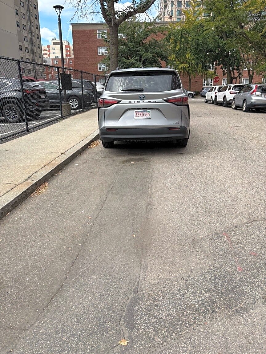 Image submitted with report