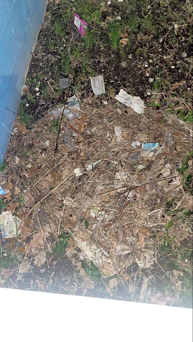 Image submitted with report