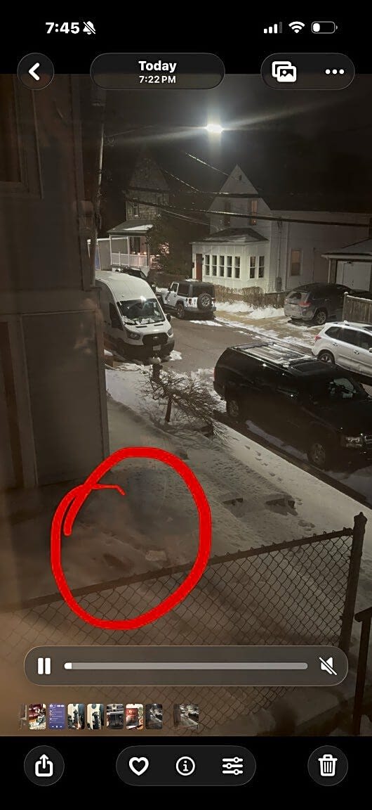 Image submitted with report