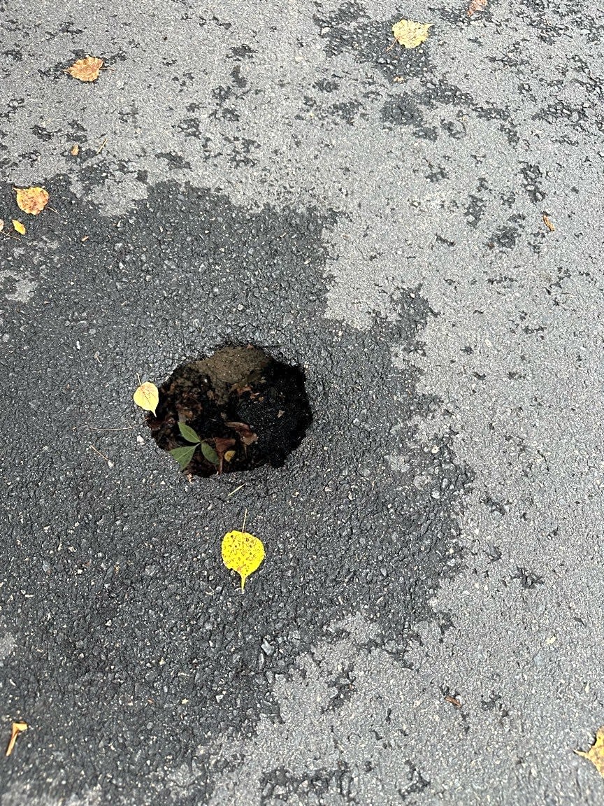 Image submitted with report