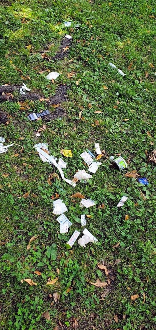 Image submitted with report