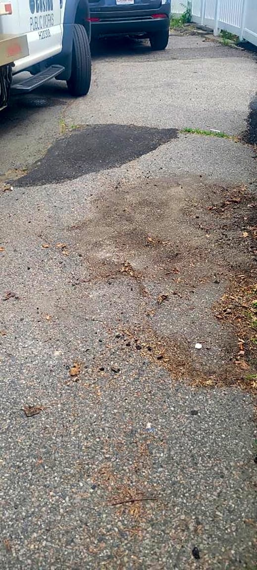 Image submitted with report