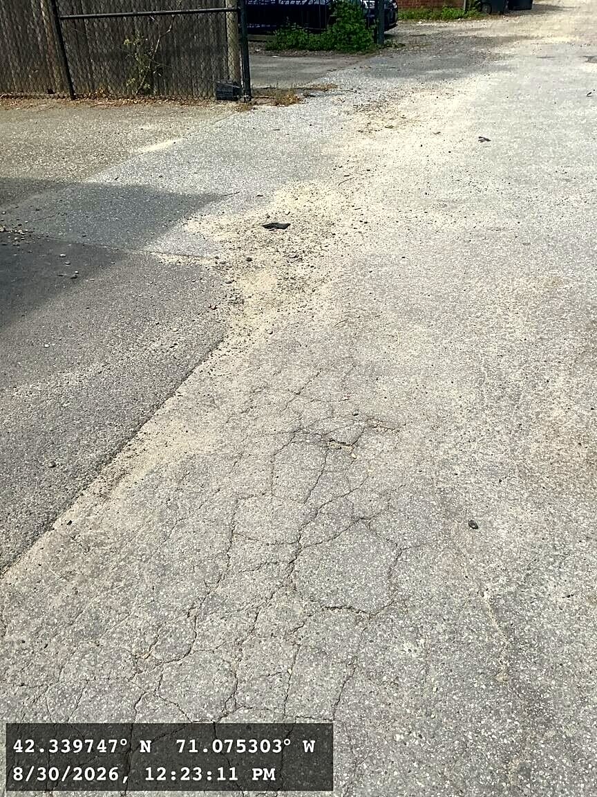 Image submitted with report