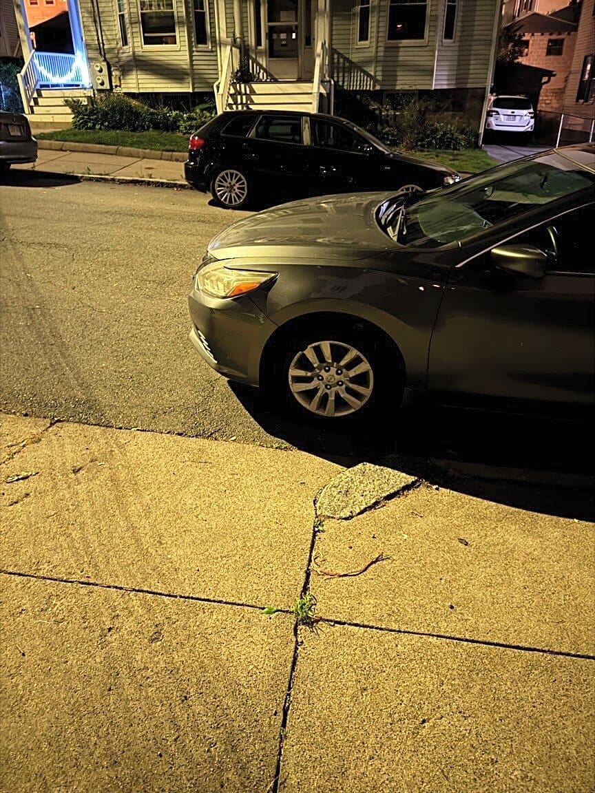 Image submitted with report