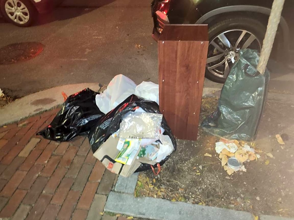 Image submitted with report