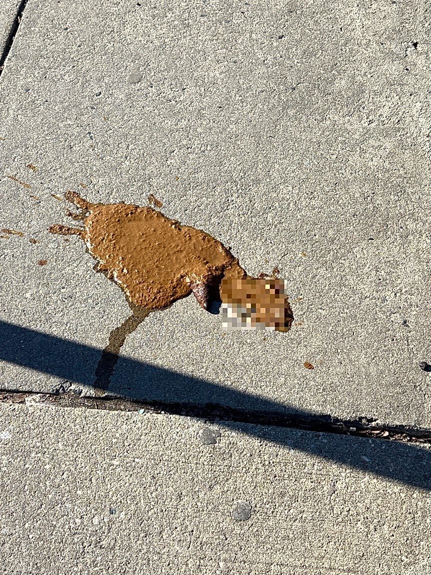 Image submitted with report