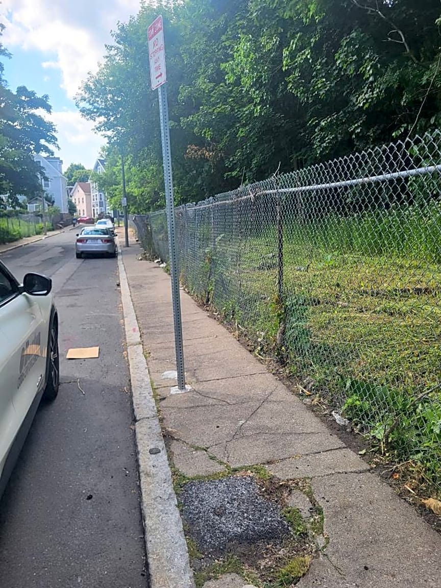 Image submitted with report
