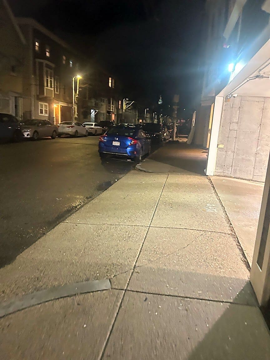 Image submitted with report