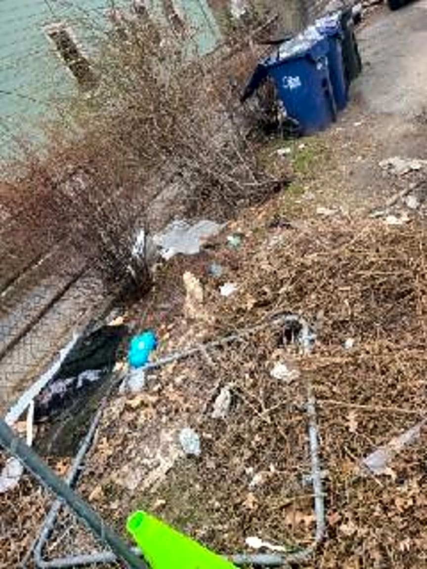 Image submitted with report