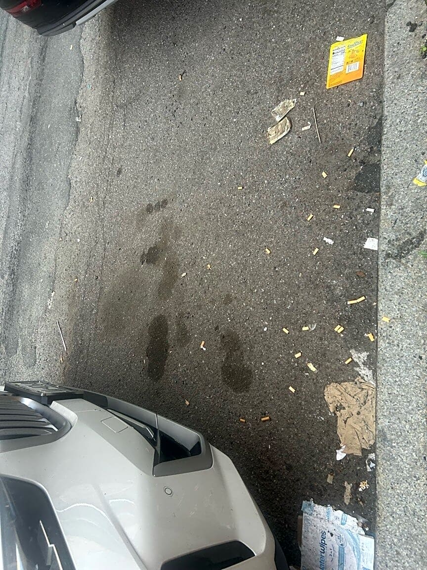 Image submitted with report