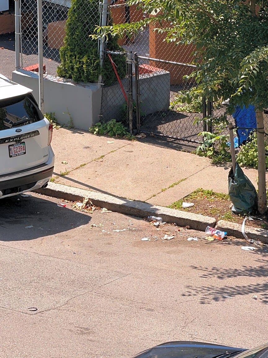 Image submitted with report
