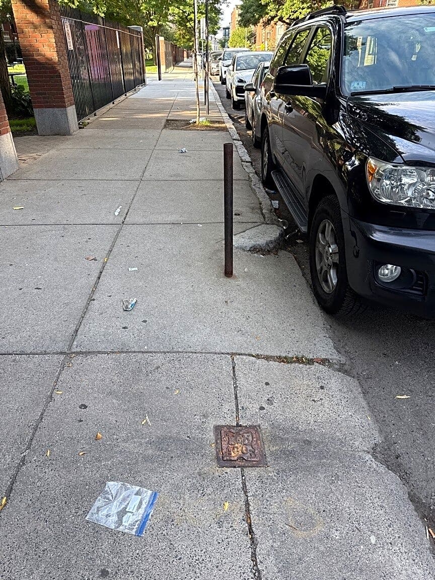 Image submitted with report