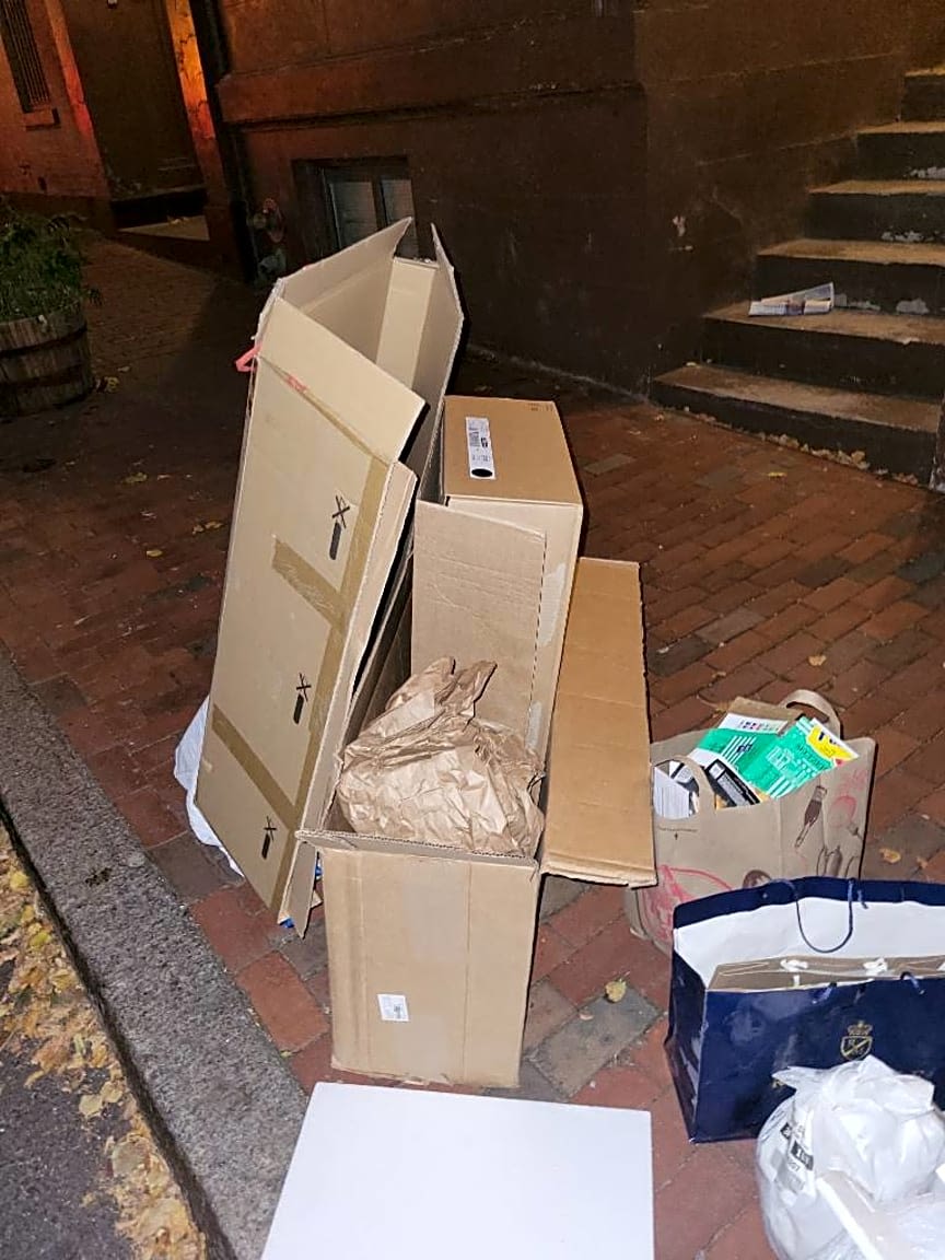 Image submitted with report