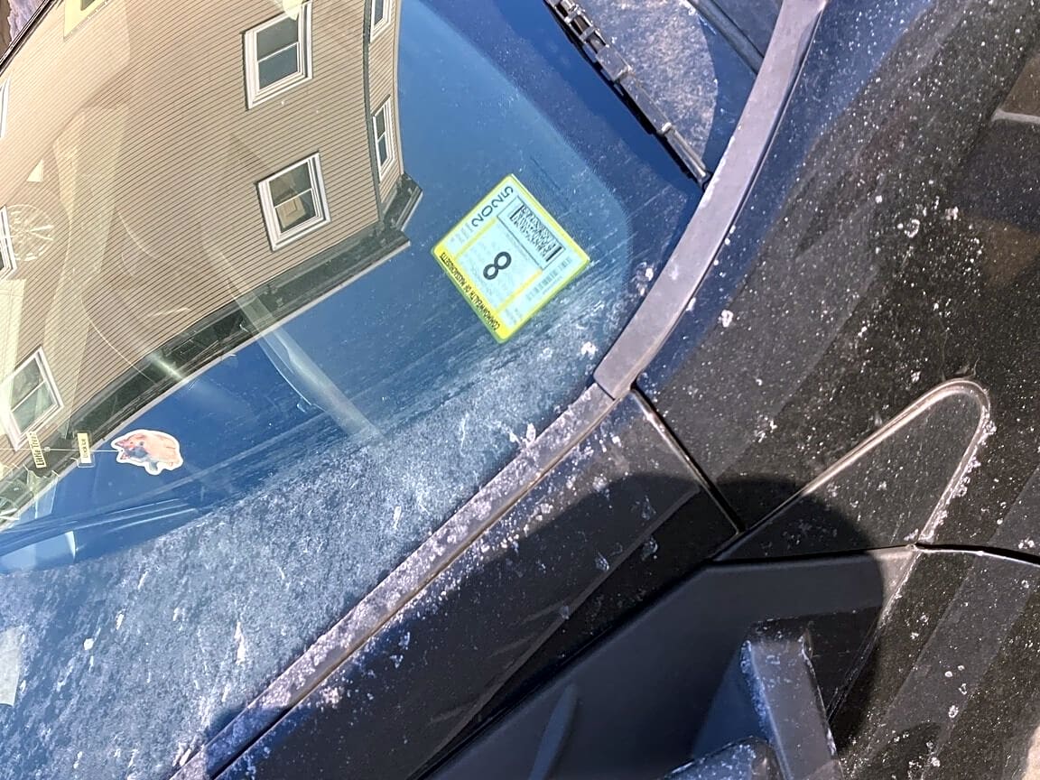 Image submitted with report