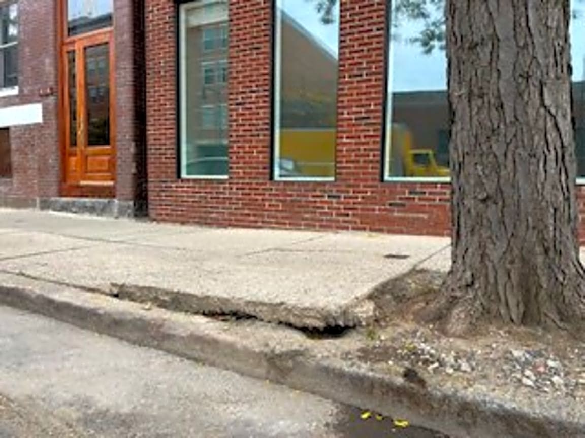 Image submitted with report