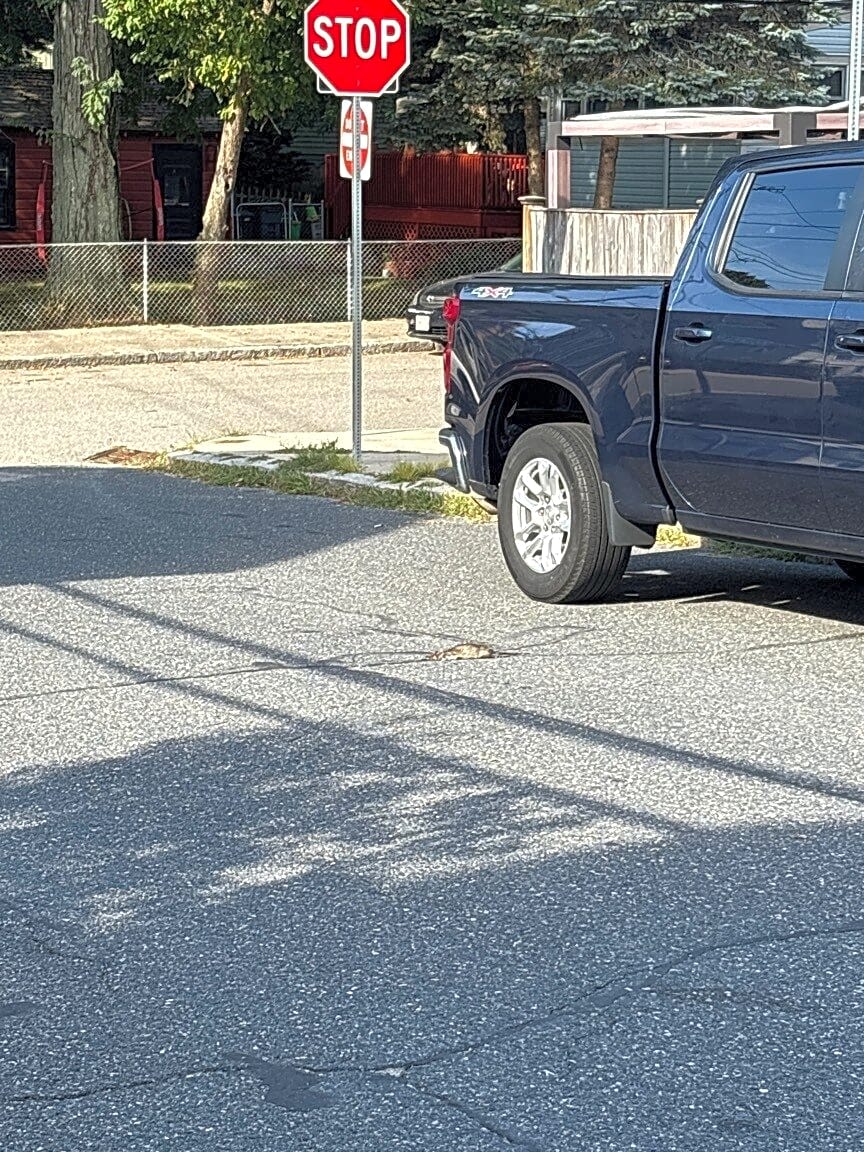 Image submitted with report