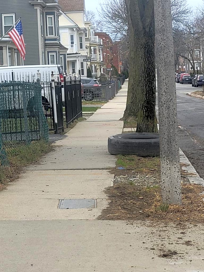 Image submitted with report