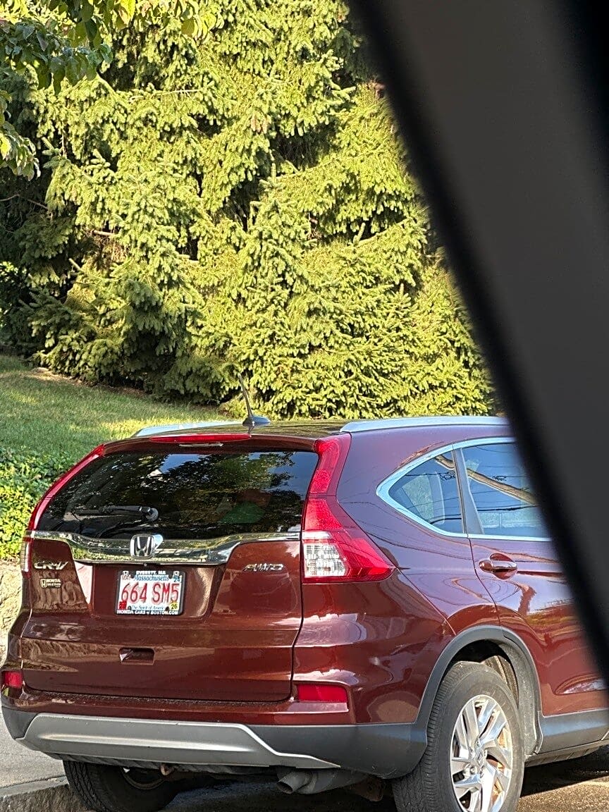 Image submitted with report