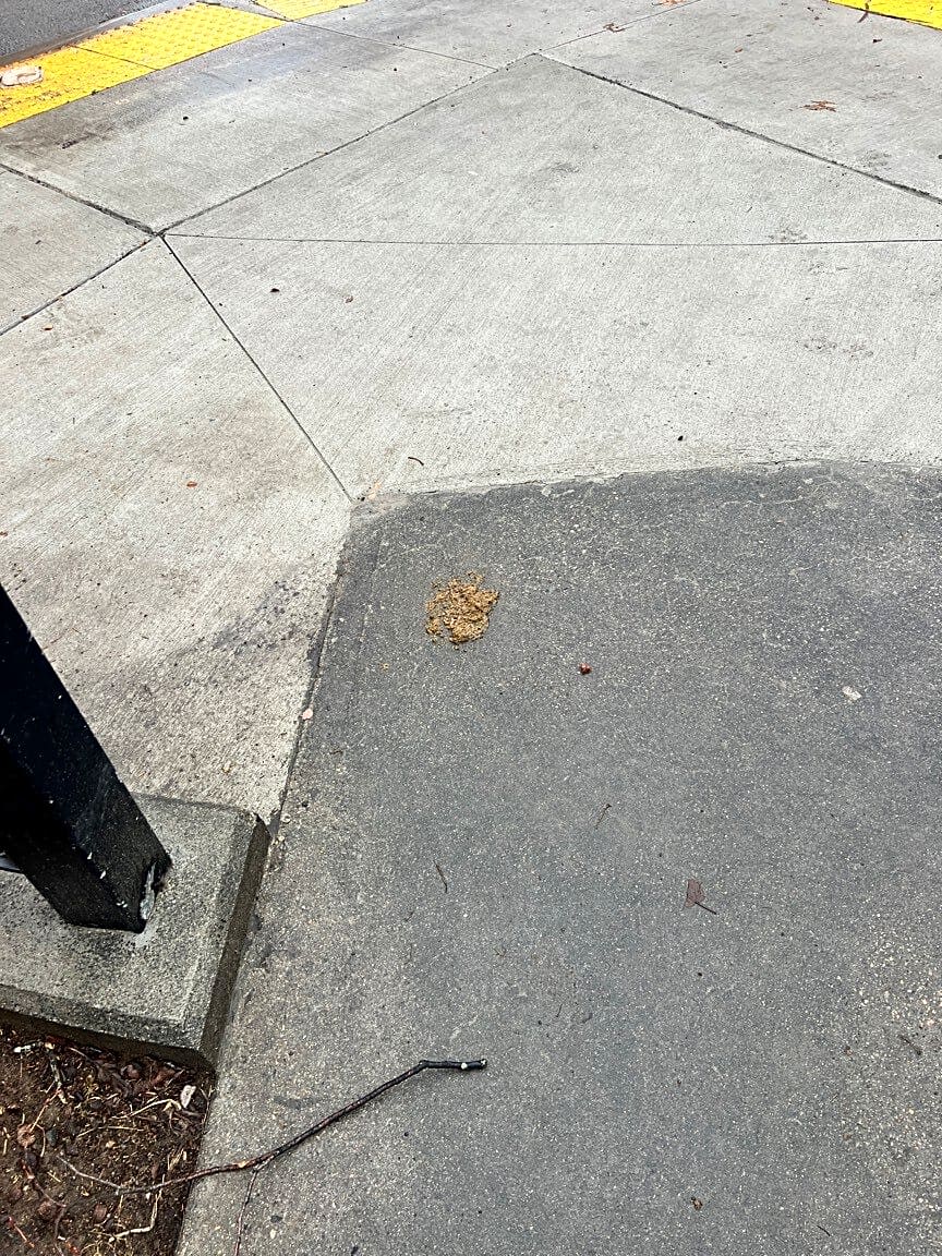 Image submitted with report