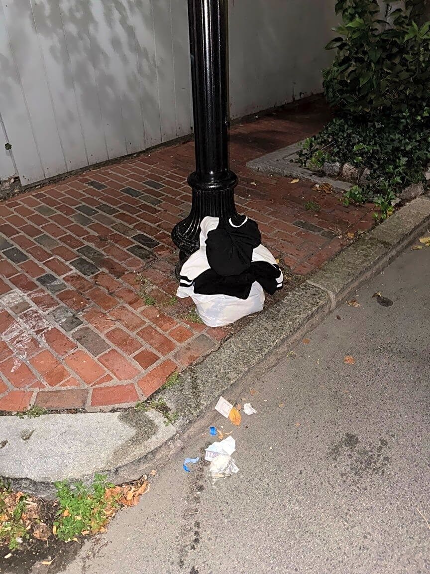 Image submitted with report