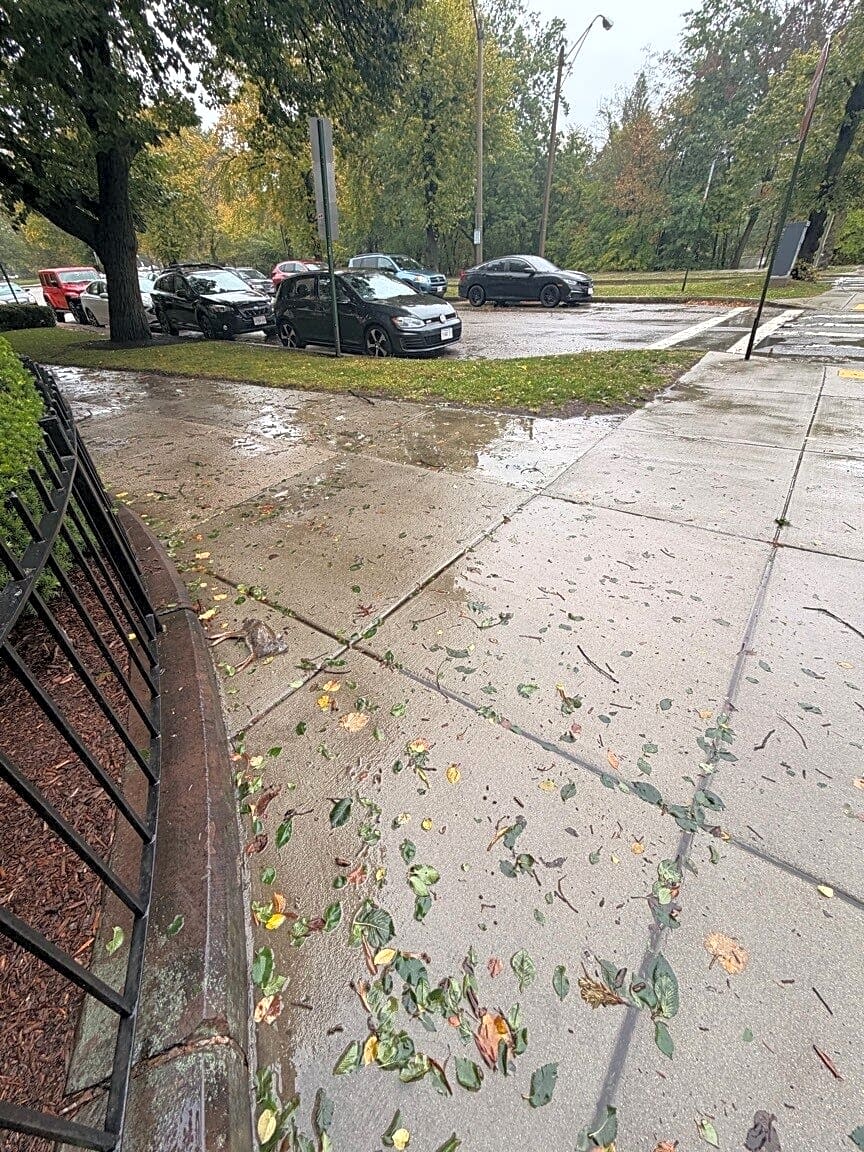 Image submitted with report