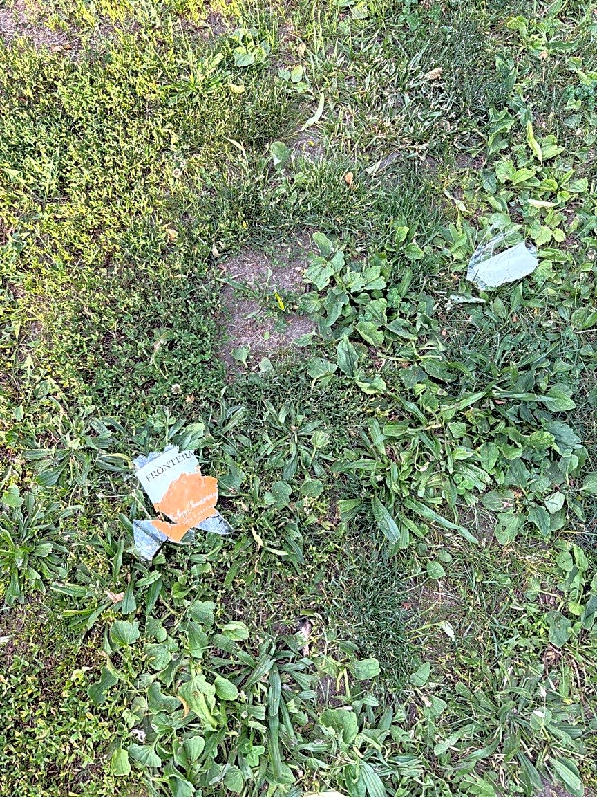 Image submitted with report
