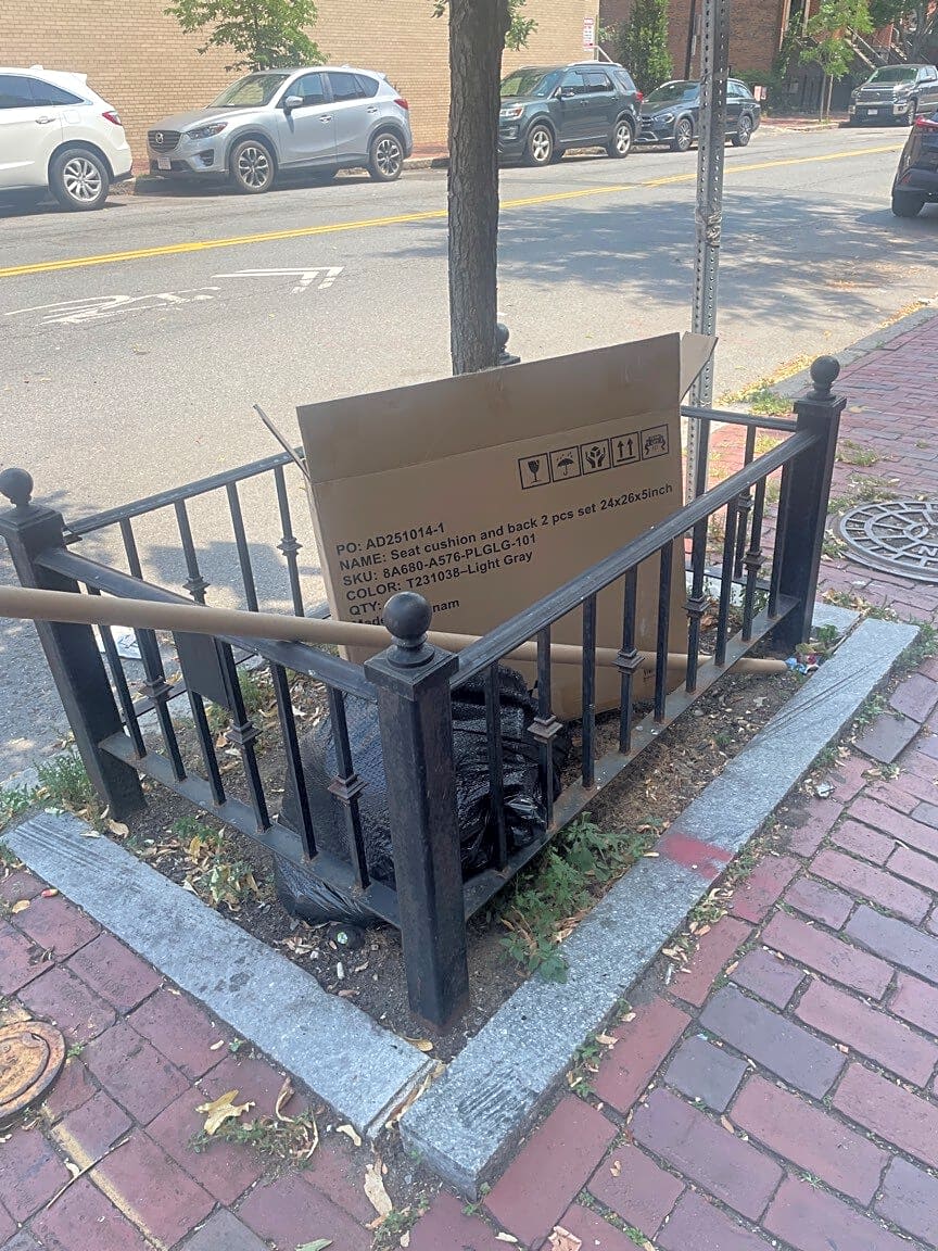 Image submitted with report