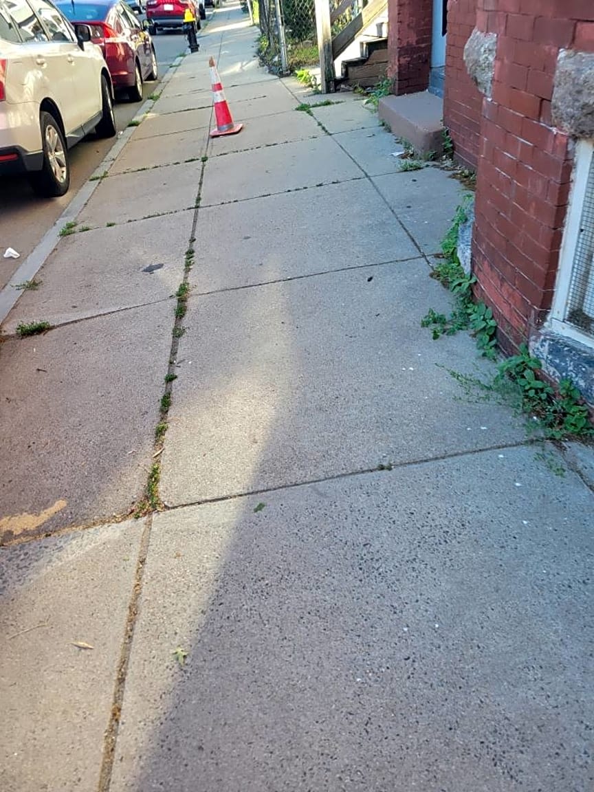 Image submitted with report