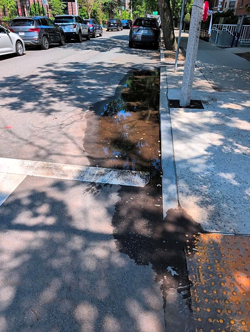 Image submitted with report