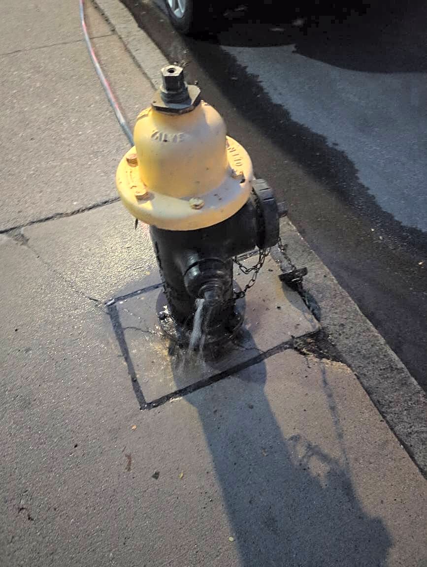 Image submitted with report