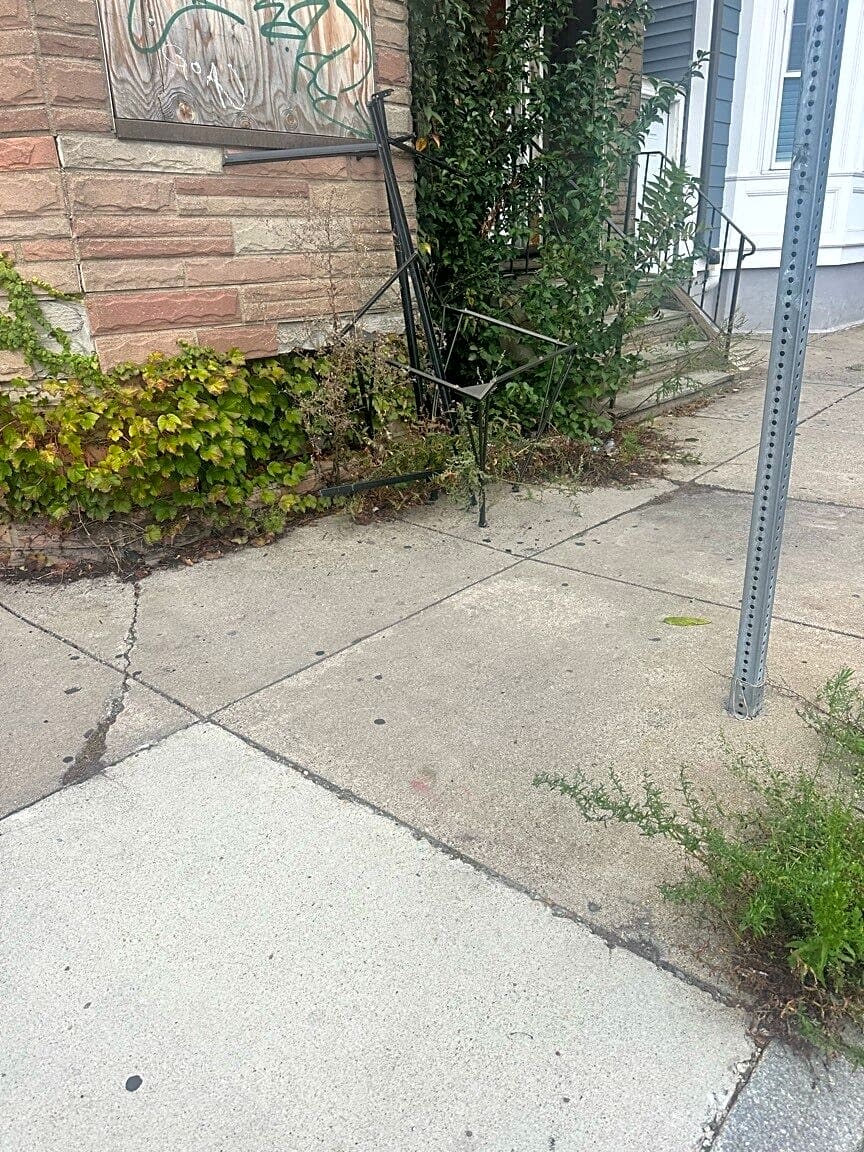 Image submitted with report
