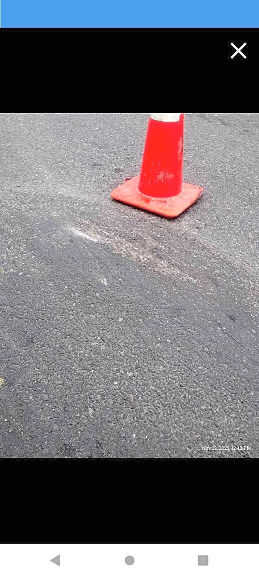 Image submitted with report