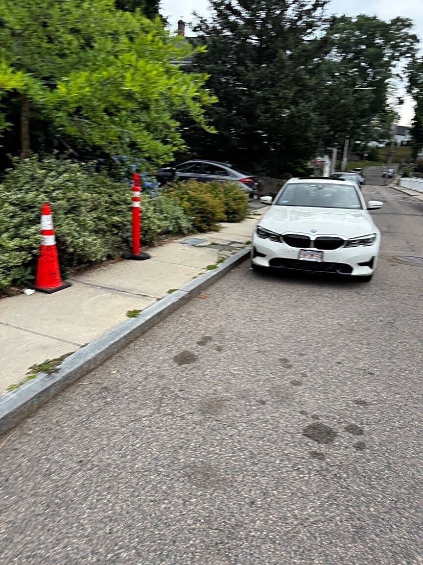 Image submitted with report