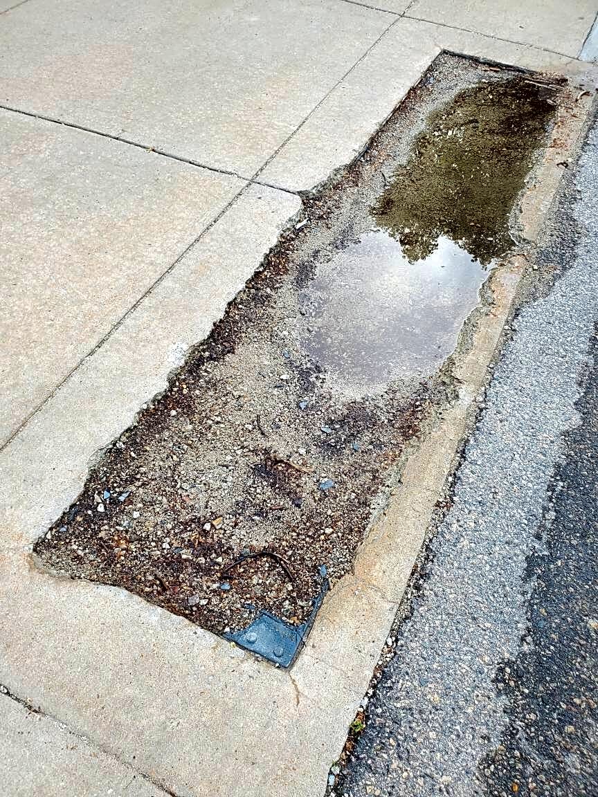 Image submitted with report