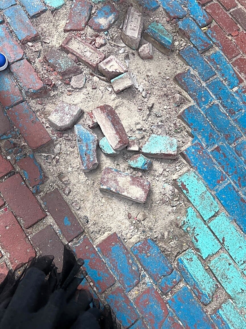 Image submitted with report