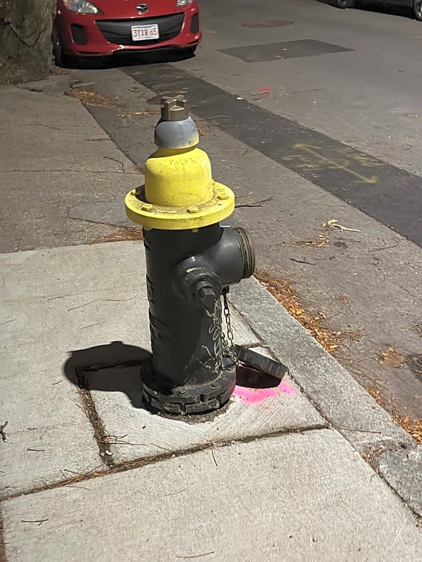 Image submitted with report