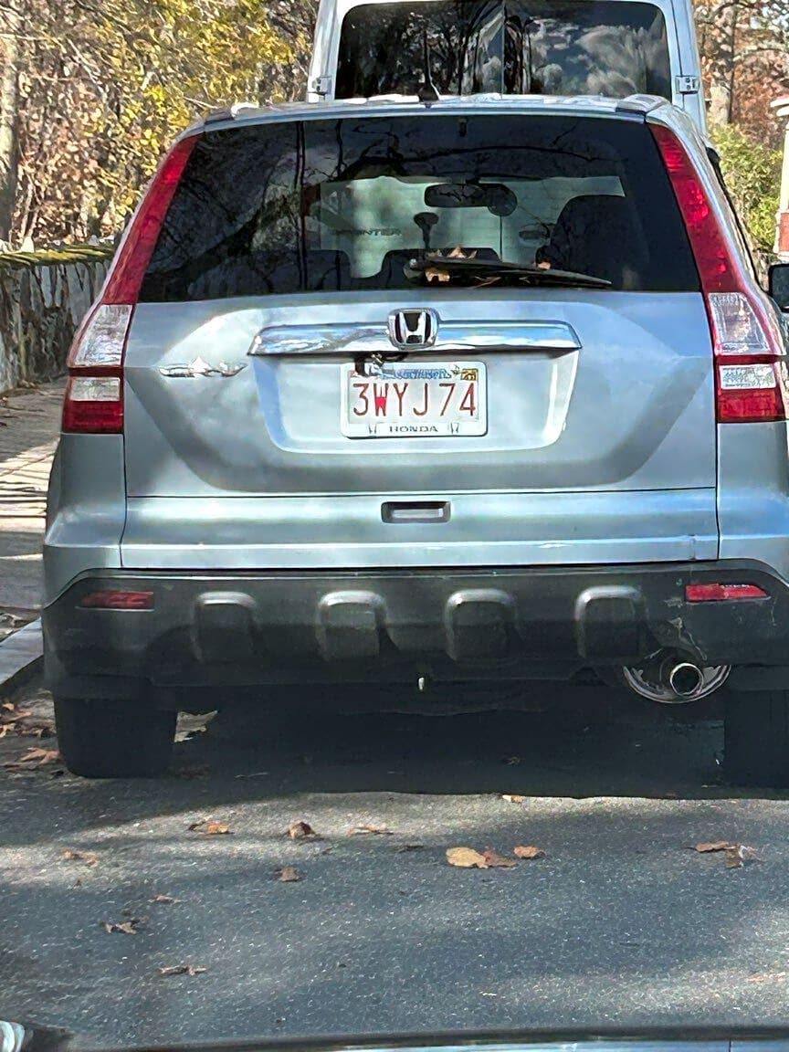 Image submitted with report