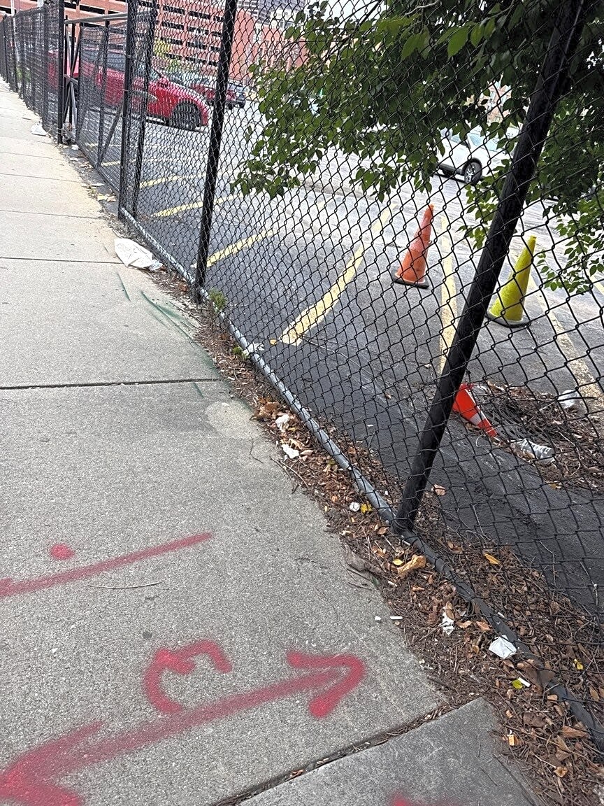 Image submitted with report
