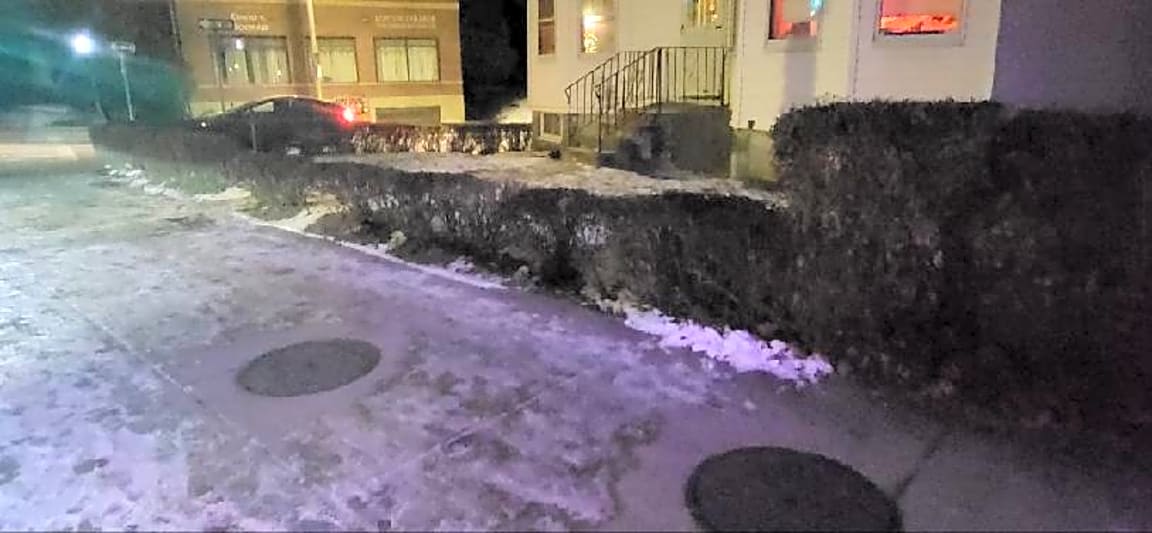 Image submitted with report