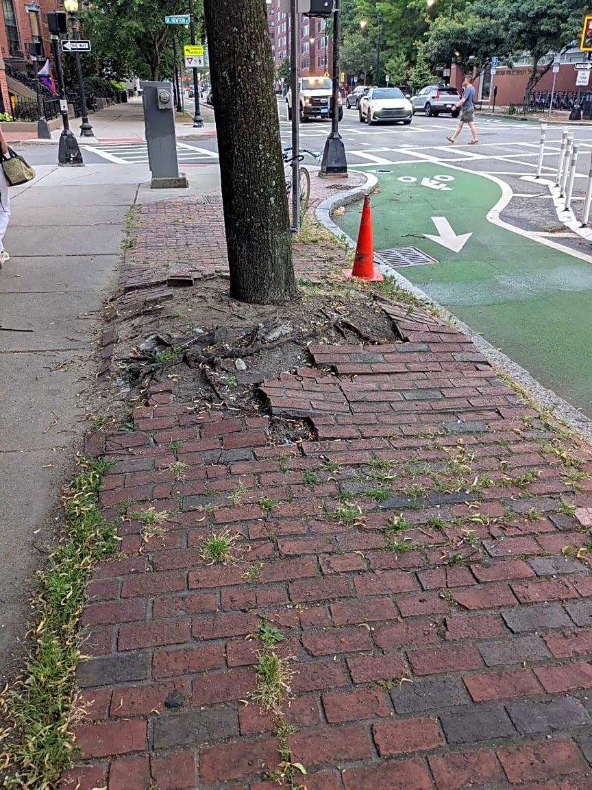 Image submitted with report