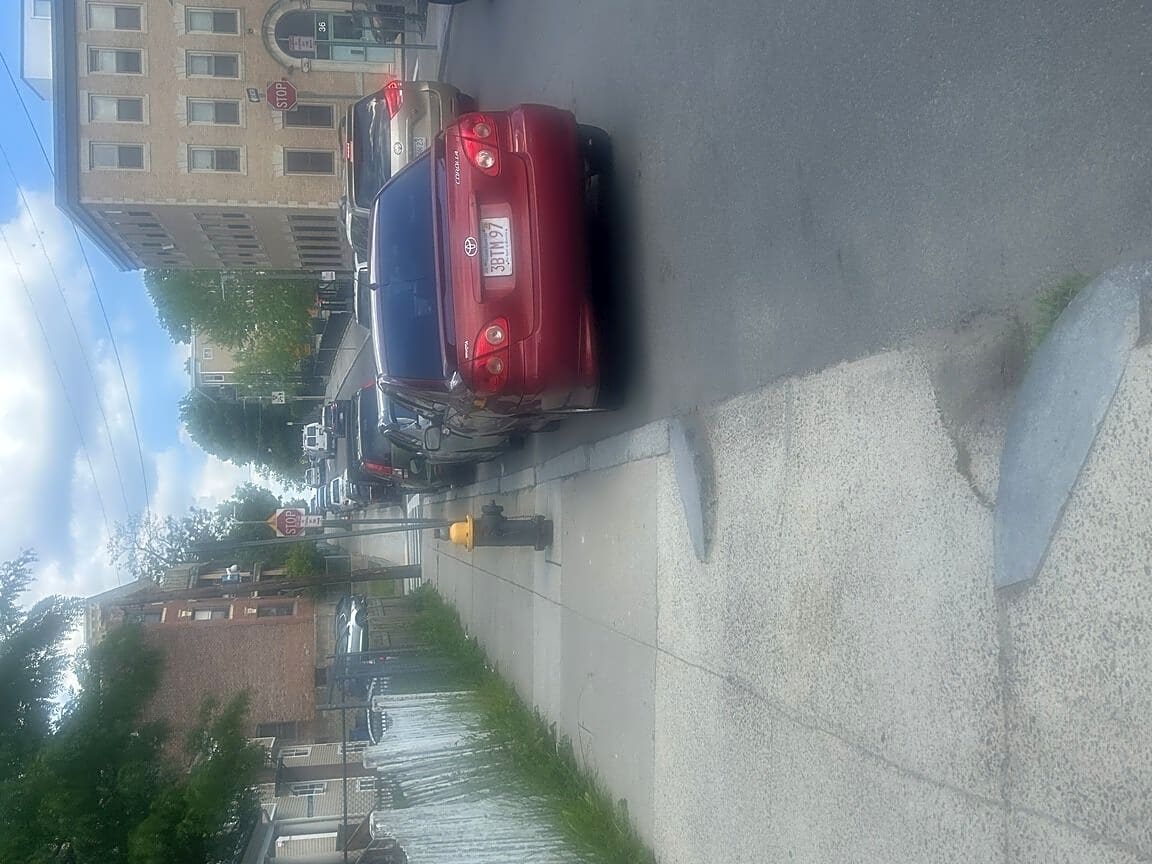Image submitted with report