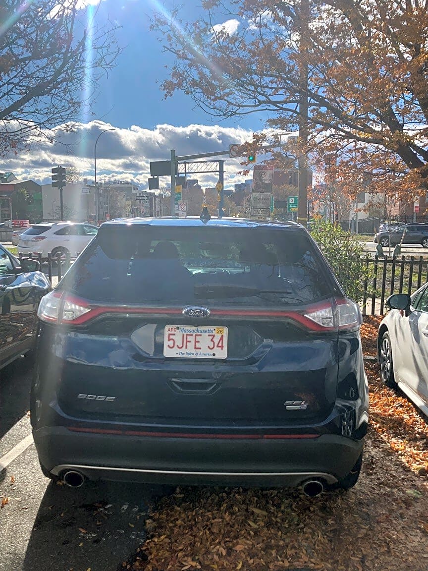 Image submitted with report