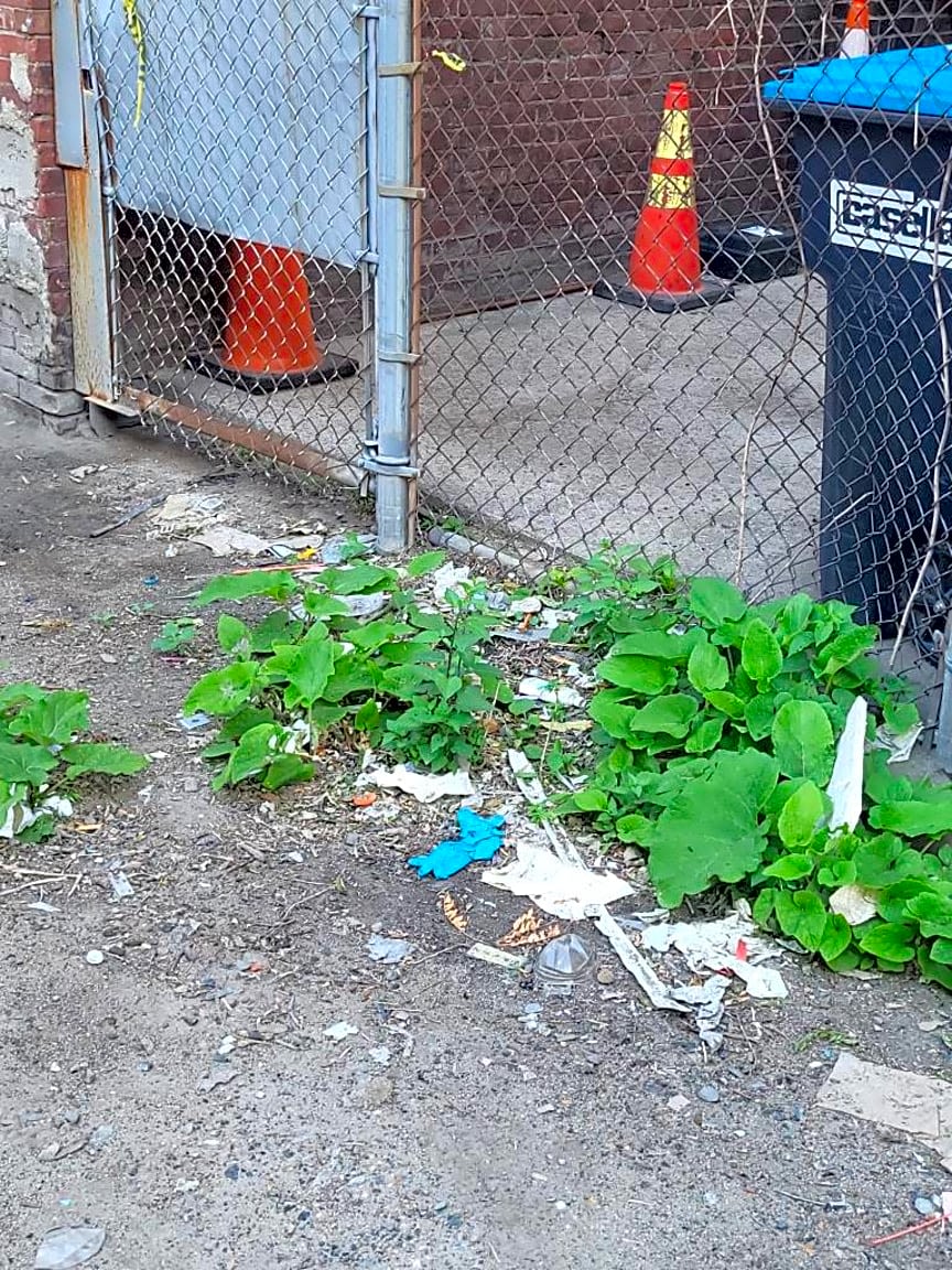 Image submitted with report